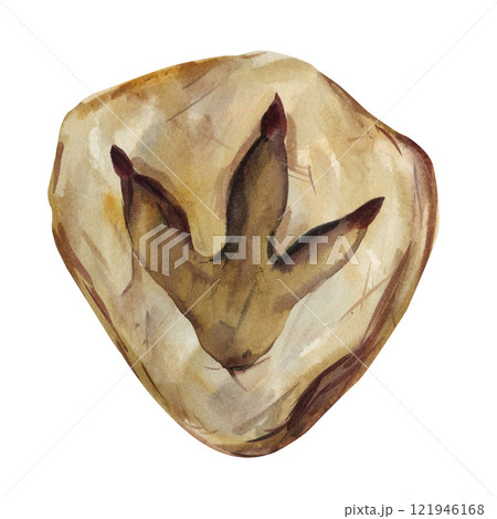 watercolor illustration dinosaur footprints white background, hand-painted prehistoric art educational creative purposes watercolor illustration dinosaur footprints white background, hand-painted prehistoric art educational creative purposes 121946168