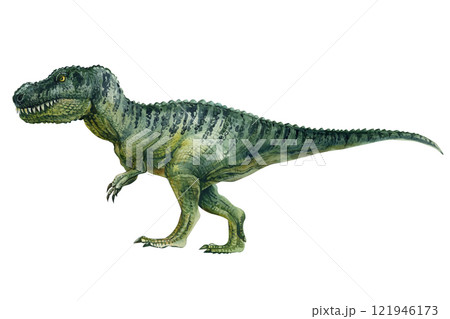 Watercolor dinosaurs tyrannosaurus isolated on white, prehistoric animals, triceratops, t-rex green dinosaur 121946173