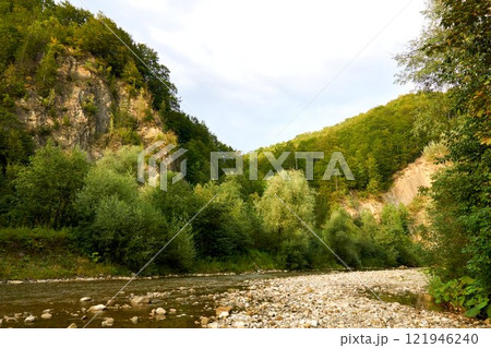 Shallowed rapid flow of a mountain river among the stone forest rocks Shallowed rapid flow of a mountain river among the stone forest rocks 121946240