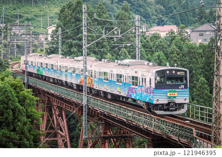 二俣尾ー軍畑を走行する201系さよなら四季彩号 121946395