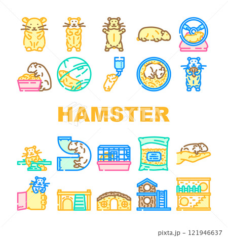 hamster hamster cute app pet coin icons set vector 121946637
