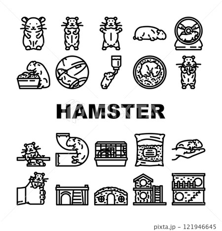 hamster hamster cute app pet coin icons set vector 121946645