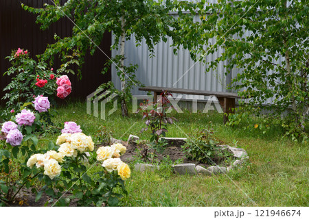 A fragment of a courtyard with roses, trees and a bench A fragment of a courtyard with roses, trees and a bench 121946674