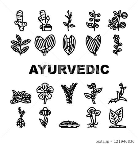 ayurvedic herbs medical icons set vector 121946836