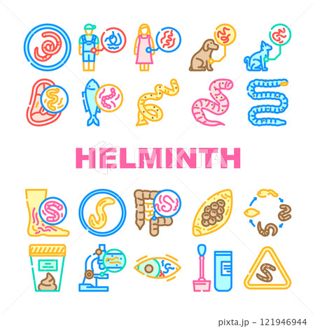 helminth worm parasite nematode icons set vector helminth worm parasite nematode icons set vector 121946944