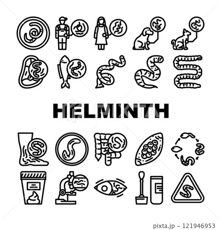 helminth worm parasite nematode icons set vector helminth worm parasite nematode icons set vector 121946953