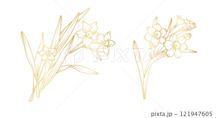 Narcissus lily flowers line art isolated on white background. Luxury daffodil floral golden design elements for invitation, wedding, wallpaper, print template, vector illustration Narcissus lily flowers line art isolated on white background. Luxury daffodil floral golden design elements for invitation, wedding, wallpaper, print template, vector illustration 121947605