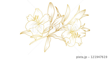 Golden lily flowers line art isolated on white background. Luxury lilies floral design elements for invitation, wedding, wallpaper, print template, vector illustration 121947619