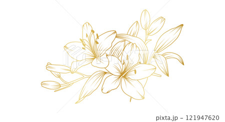 Golden lily flowers line art isolated on white background. Luxury lilies floral design elements for invitation, wedding, wallpaper, print template, vector illustration Golden lily flowers line art isolated on white background. Luxury lilies floral design elements for invitation, wedding, wallpaper, print template, vector illustration 121947620