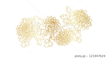 Golden Chrysanthemum flowers line art isolated on white background. Luxury Chrysanthemum floral design elements for invitation, wedding, wallpaper, print template, vector illustration Golden Chrysanthemum flowers line art isolated on white background. Luxury Chrysanthemum floral design elements for invitation, wedding, wallpaper, print template, vector illustration 121947629