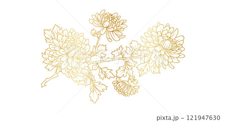 Golden Chrysanthemum flowers line art isolated on white background. Luxury Chrysanthemum floral design elements for invitation, wedding, wallpaper, print template, vector illustration 121947630