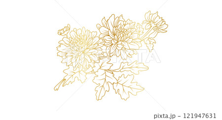 Golden Chrysanthemum flowers line art isolated on white background. Luxury Chrysanthemum floral design elements for invitation, wedding, wallpaper, print template, vector illustration 121947631