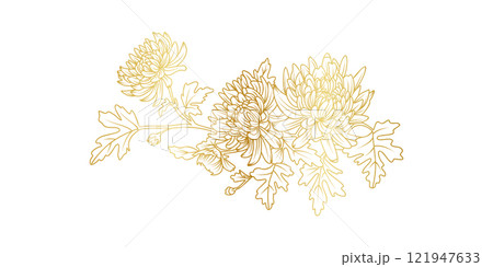 Golden Chrysanthemum flowers line art isolated on white background. Luxury Chrysanthemum floral design elements for invitation, wedding, wallpaper, print template, vector illustration 121947633