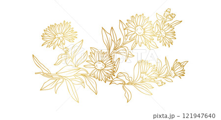 Golden Aster flowers line art isolated on white background. Luxury Aster floral design elements for invitation, wedding, wallpaper, print template, vector illustration Golden Aster flowers line art isolated on white background. Luxury Aster floral design elements for invitation, wedding, wallpaper, print template, vector illustration 121947640