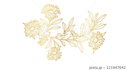 Golden Aster flowers line art isolated on white background. Luxury Aster floral design elements for invitation, wedding, wallpaper, print template, vector illustration Golden Aster flowers line art isolated on white background. Luxury Aster floral design elements for invitation, wedding, wallpaper, print template, vector illustration 121947642