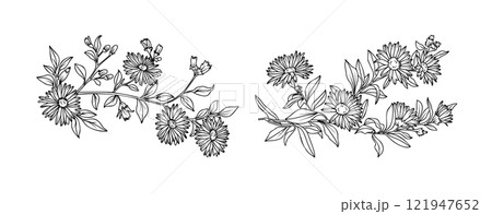 Aster flower arrangement line art on white background. Silhouette botanical hand drawn element for wedding, invitation frame design, vector illustration 121947652