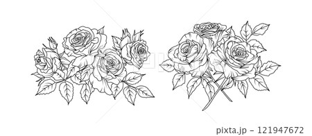 Rose flower arrangement line art on white background. Silhouette roses botanical hand drawn element for wedding, invitation frame design, vector illustration 121947672