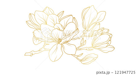 Golden magnolia flowers line art isolated on white background. Luxury magnolia floral design elements for invitation, wedding, wallpaper, print template, vector illustration Golden magnolia flowers line art isolated on white background. Luxury magnolia floral design elements for invitation, wedding, wallpaper, print template, vector illustration 121947725