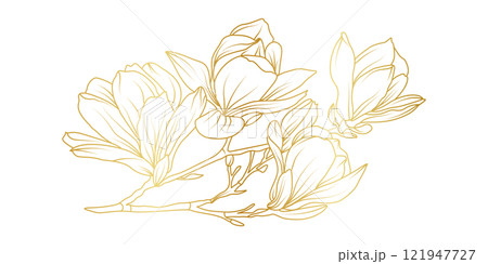 Golden magnolia flowers line art isolated on white background. Luxury magnolia floral design elements for invitation, wedding, wallpaper, print template, vector illustration Golden magnolia flowers line art isolated on white background. Luxury magnolia floral design elements for invitation, wedding, wallpaper, print template, vector illustration 121947727