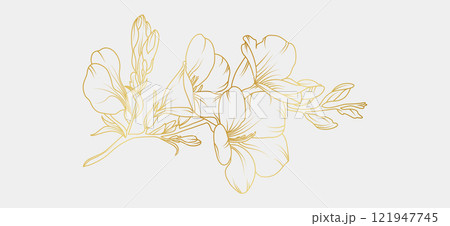 Golden freesia flowers line art isolated on white background. Luxury magnolia floral design elements for invitation, wedding, wallpaper, print template, vector illustration 121947745
