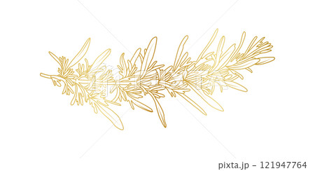 Golden Rosemary line art isolated on white background. Luxury Rosemary leaves design elements for invitation, cooking, cosmetic, wallpaper, print template, vector illustration 121947764