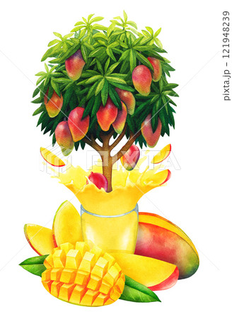 Watercolor glass and bottle of juice, mangoes, leaves and a tree 121948239