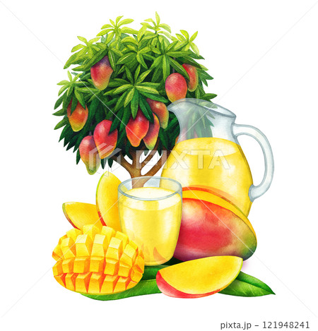 Watercolor glass and jug of juice, mangoes, leaves and a tree behind. 121948241