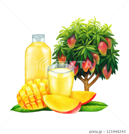 Watercolor glass and bottle of juice, mangoes, leaves and a tree behind. 121948243
