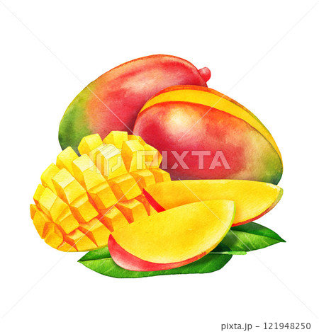 Watercolor composition of a whole, sliced and diced mangoes on a leaves 121948250
