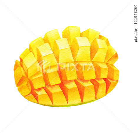 Diced watercolor mango isolated on a white background Diced watercolor mango isolated on a white background 121948264