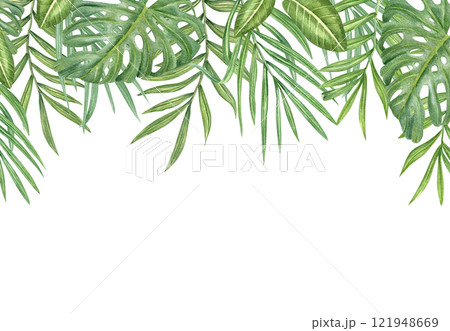 Watercolor green palm areca and monstera leaves horizontal border isolated background. Hand painted tropical foliage frame with empty space for text. Floral illustration greeting card, invitation. 121948669