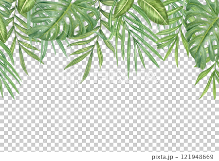 Watercolor green palm areca and monstera leaves horizontal border isolated background. Hand painted tropical foliage frame with empty space for text. Floral illustration greeting card, invitation. 121948669