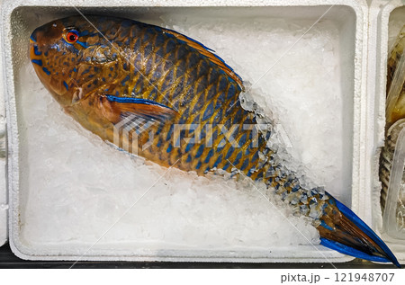 Vibrant parrotfish on ice inside in open container 121948707
