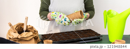 Woman planting tomato and pepper seeds on seedlings at home Woman planting tomato and pepper seeds on seedlings at home 121948844
