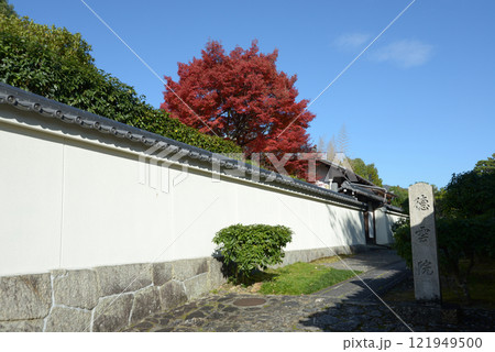 妙心寺 徳雲院の参道 京都市右京区花園 妙心寺 徳雲院の参道 京都市右京区花園 121949500