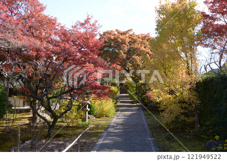 妙心寺 大通院の境内 京都市右京区花園 妙心寺 大通院の境内 京都市右京区花園 121949522