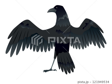 Raven. Silhouette Representing Bird Specie Captured in Moment of Flight and Resting 121949534