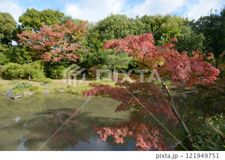 無鄰菴　七代目小川治兵衛の作庭による日本庭園　京都市左京区 121949751
