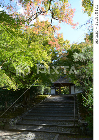 安楽寺　参道と山門　京都市左京区鹿ケ谷 121950121