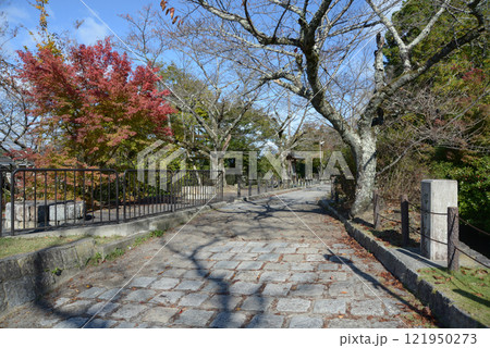 哲学の道 熊野若王子神社付近 京都市左京区 哲学の道 熊野若王子神社付近 京都市左京区 121950273