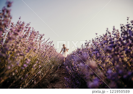 Lavender field girl. Back view happy girl in white dress with a scythe runs through a lilac field of lavender. Aromatherapy travel Lavender field girl. Back view happy girl in white dress with a scythe runs through a lilac field of lavender. Aromatherapy travel 121950589