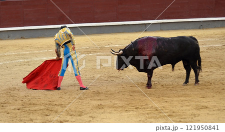 Traditional bullfight arena encounter: matador faces bull with courage and skill. Torero in a costume of light with a red muleta in front of a bull in a bullring. Spanish traditions Traditional bullfight arena encounter: matador faces bull with courage and skill. Torero in a costume of light with a red muleta in front of a bull in a bullring. Spanish traditions 121950841