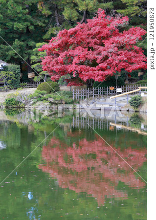 岡山後楽園の紅葉 岡山後楽園の紅葉 121950878