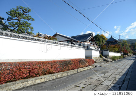 金戒光明寺　境内の白塀　京都市左京区黒谷 121951060