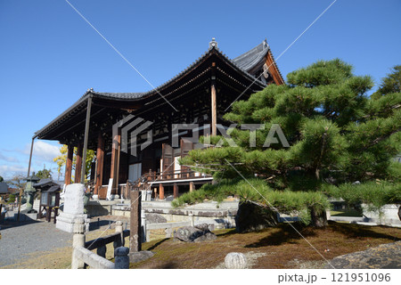 金戒光明寺 御影堂と熊谷鎧掛け松 京都市左京区黒谷 金戒光明寺 御影堂と熊谷鎧掛け松 京都市左京区黒谷 121951096