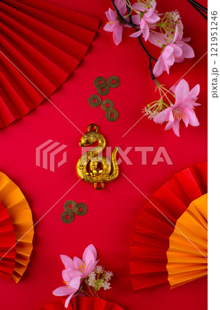 Chinese new year concept. Lunar year of snake Chinese new year concept. Lunar year of snake 121951246