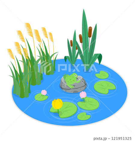 3D Isometric Flat Vector Set of Cartoon Frogs, Toad Life Cycle. Item 3 121951325
