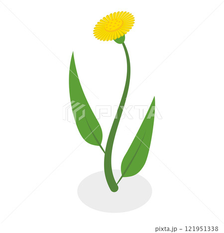 3D Isometric Flat Vector Illustration of Flowers Collection, Set of Various Blooming Plants. Item 5 121951338