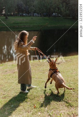 young woman walks with her dog in the park. A lady in a beige raincoat is playing with a pit bull 121951554