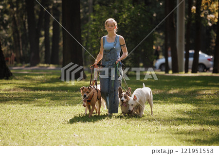 dog walker, dog handler on a walk with their pets. owner of the pet walks through meadow of park  121951558
